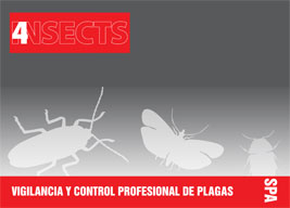 4INSECTS